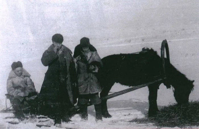 У руководителей разреза легкового транспорта до 1952 года не было, все поездки они совершали на лошадях